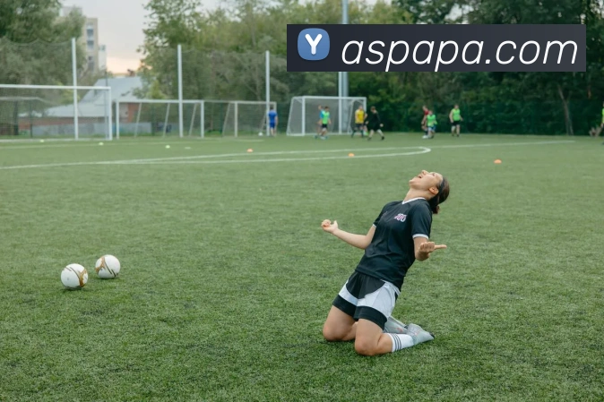 pa视讯平台生态图