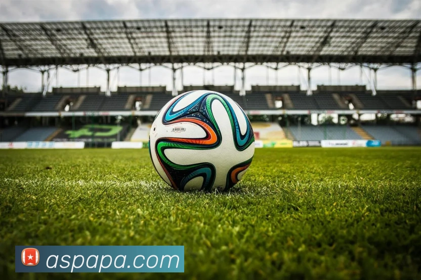 pa视讯APP 封面图